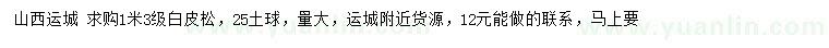 求購1.3米白皮松