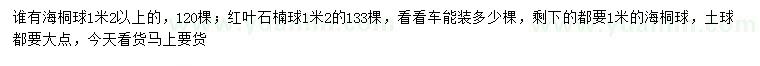 求購1.2米以上海桐球、紅葉石楠球