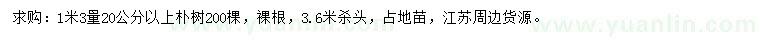 求購1.3米量20公分以上樸樹(shù)