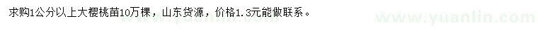 求購(gòu)1公分以上大櫻桃苗