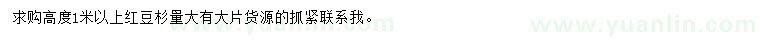 求購(gòu)高度1米以上紅豆杉