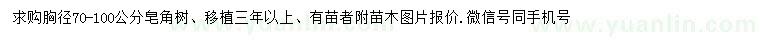 求購胸徑70-100公分皂角