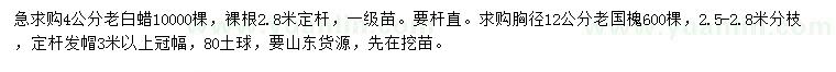 求購4公分老白蠟、胸徑12公分老國槐