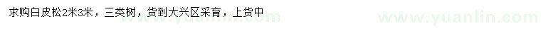 求購2、3米白皮松