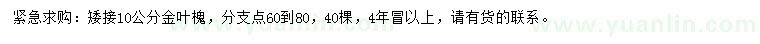 求購10公分金葉槐