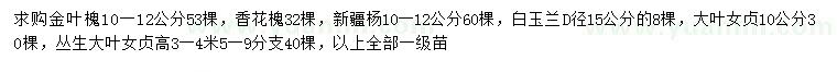求購金葉槐、香花槐、新疆楊等