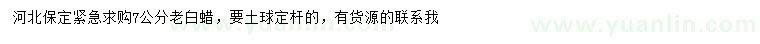 求購7公分老白蠟