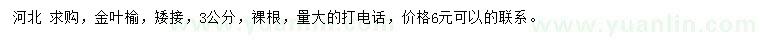 求購3公分金葉榆