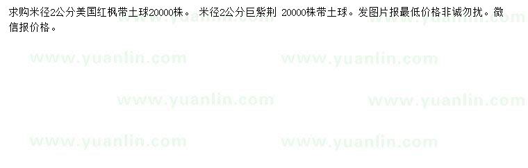 求購米徑2公分美國紅楓、巨紫荊