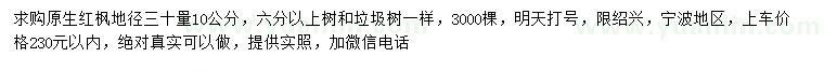 求購地徑30量10公分原生紅楓