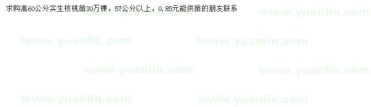 求購57公分以上核桃苗
