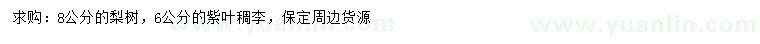 求購8公分梨樹