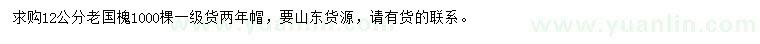 求購12公分老國槐