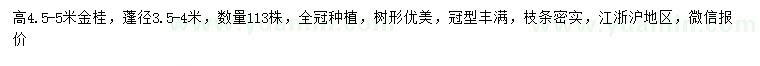 求購(gòu)高4.5-5米金桂