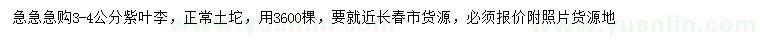 求購3-4公分紫葉李
