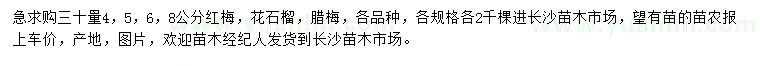 求購紅梅、花石榴、臘梅