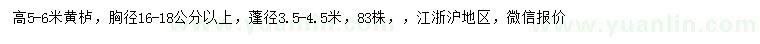 求購(gòu)高5-6米黃櫨