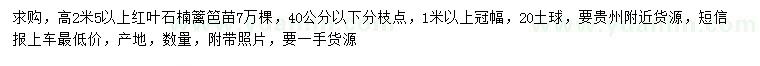 求購高2米5以上紅葉石楠