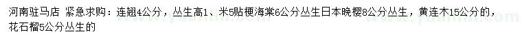 求購(gòu)連翹、貼梗海棠、叢生日本晚櫻等