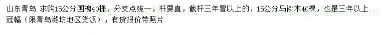 求購15公分國槐、馬褂木