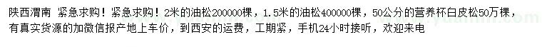求購(gòu)1.5、2米油、50公分白皮松