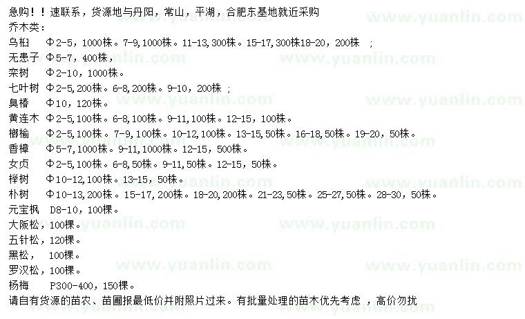 求購(gòu)烏桕、無(wú)患子、欒樹(shù)等