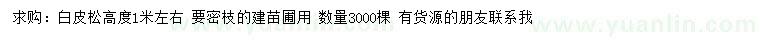 求購高度1米左右白皮松