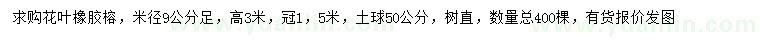 求購(gòu)米徑足9公分花葉橡膠榕