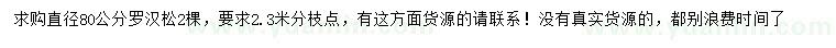 求購直徑80公分羅漢松