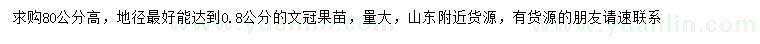 求購高80公分文冠果苗