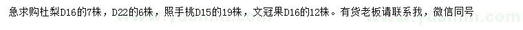 求購杜梨、照手桃、文冠果