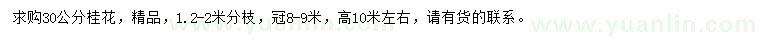 求購30公分桂花