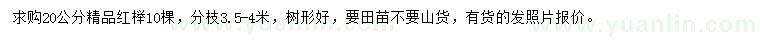 求購20公分精品紅櫸
