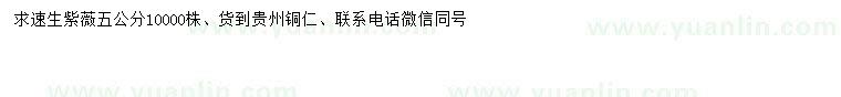 求購5公分速生紫薇