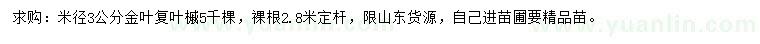 求購(gòu)米徑3公分金葉復(fù)葉槭