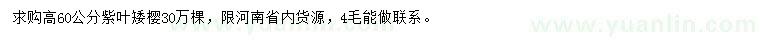 求購高60公分紫葉矮櫻