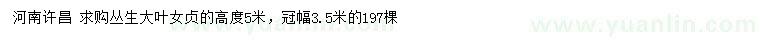 求購高度5米叢生大葉女貞
