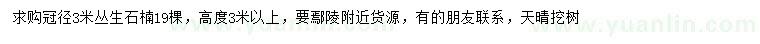 求購(gòu)冠徑3米叢生石楠