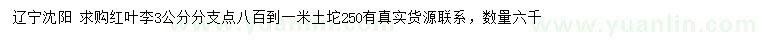 求購(gòu)3公分紅葉李