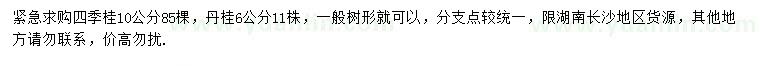 求購10公分四季桂、6公分丹桂