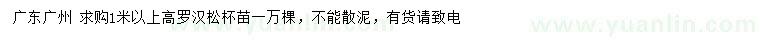 求購高1米以上羅漢松