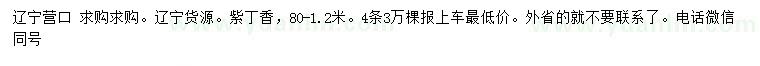 求購(gòu)80-120公分紫丁香