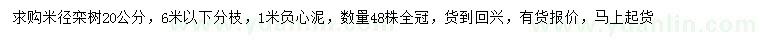 求購米徑20公分欒樹