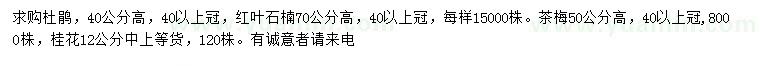 求購杜鵑、紅葉石楠、茶梅等