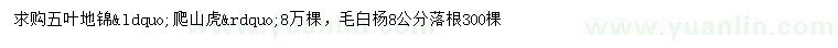 求購(gòu)五葉地錦、爬山虎、毛白楊