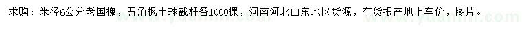 求購(gòu)米徑6公分老國(guó)槐、五角楓
