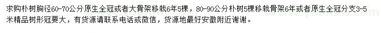 求購(gòu)胸徑60-90公分樸樹(shù)