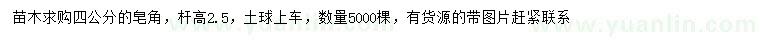 求購4公分皂角