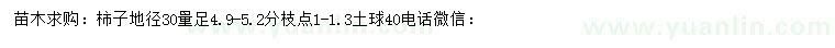 求購地徑30量足4.9-5.2公分柿子