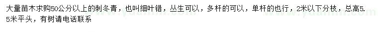 求購50公分以上刺冬青